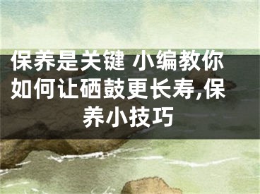 保養(yǎng)是關(guān)鍵 小編教你如何讓硒鼓更長壽,保養(yǎng)小技巧