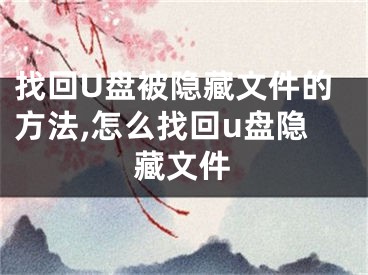 找回U盤被隱藏文件的方法,怎么找回u盤隱藏文件