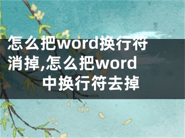 怎么把word換行符消掉,怎么把word中換行符去掉