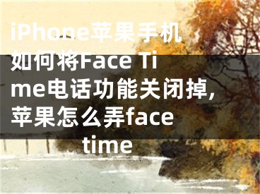 iPhone蘋果手機(jī)如何將Face Time電話功能關(guān)閉掉,蘋果怎么弄face time