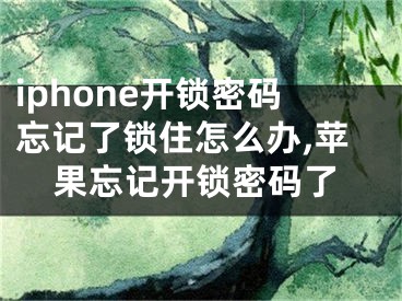 iphone開鎖密碼忘記了鎖住怎么辦,蘋果忘記開鎖密碼了