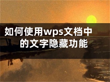 如何使用wps文檔中的文字隱藏功能