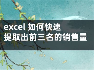 excel 如何快速提取出前三名的銷售量