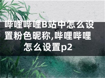 嗶哩嗶哩B站中怎么設置粉色昵稱,嗶哩嗶哩怎么設置p2