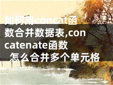 如何用concat函數(shù)合并數(shù)據(jù)表,concatenate函數(shù)怎么合并多個單元格