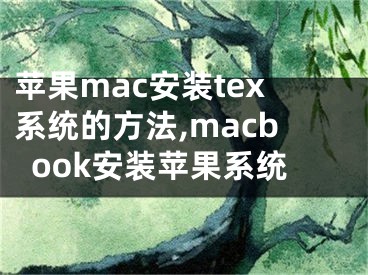 蘋(píng)果mac安裝tex系統(tǒng)的方法,macbook安裝蘋(píng)果系統(tǒng)