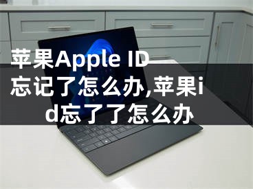 蘋果Apple ID忘記了怎么辦,蘋果id忘了了怎么辦