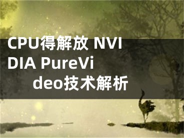 CPU得解放 NVIDIA PureVideo技術(shù)解析