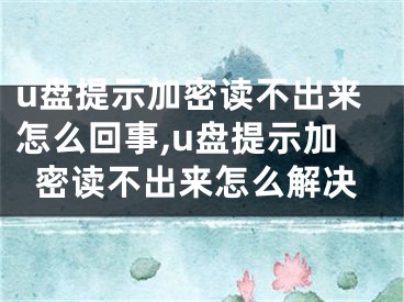 u盤(pán)提示加密讀不出來(lái)怎么回事,u盤(pán)提示加密讀不出來(lái)怎么解決