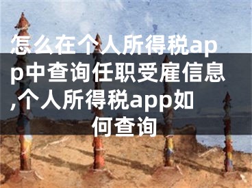 怎么在個人所得稅app中查詢?nèi)温毷芄托畔?個人所得稅app如何查詢