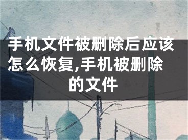 手機文件被刪除后應(yīng)該怎么恢復(fù),手機被刪除的文件