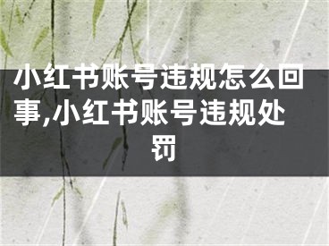 小紅書賬號(hào)違規(guī)怎么回事,小紅書賬號(hào)違規(guī)處罰