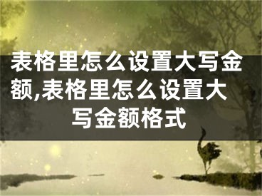 表格里怎么設(shè)置大寫金額,表格里怎么設(shè)置大寫金額格式