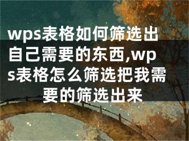 wps表格如何篩選出自己需要的東西,wps表格怎么篩選把我需要的篩選出來