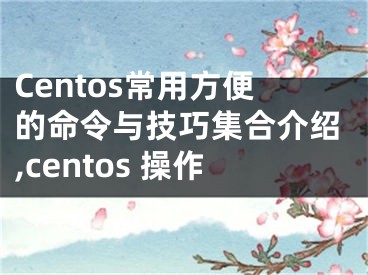 Centos常用方便的命令與技巧集合介紹,centos 操作