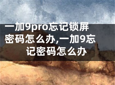 一加9pro忘記鎖屏密碼怎么辦,一加9忘記密碼怎么辦