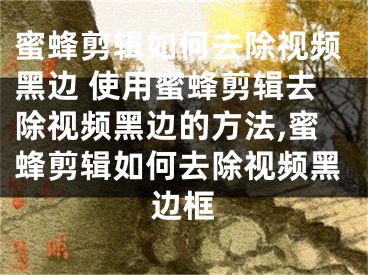 蜜蜂剪輯如何去除視頻黑邊 使用蜜蜂剪輯去除視頻黑邊的方法,蜜蜂剪輯如何去除視頻黑邊框