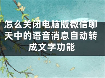 怎么關(guān)閉電腦版微信聊天中的語音消息自動轉(zhuǎn)成文字功能