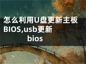 怎么利用U盤更新主板BIOS,usb更新bios