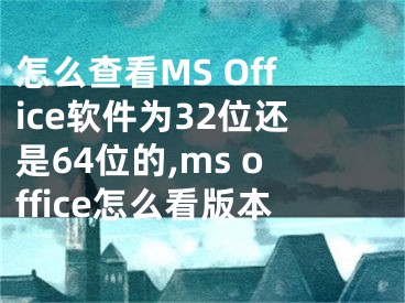 怎么查看MS Office軟件為32位還是64位的,ms office怎么看版本