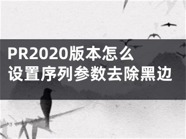 PR2020版本怎么設(shè)置序列參數(shù)去除黑邊