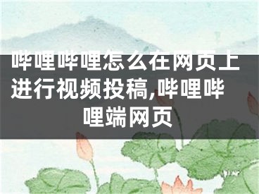 嗶哩嗶哩怎么在網(wǎng)頁上進行視頻投稿,嗶哩嗶哩端網(wǎng)頁