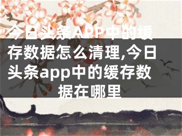 今日頭條APP中的緩存數(shù)據(jù)怎么清理,今日頭條app中的緩存數(shù)據(jù)在哪里