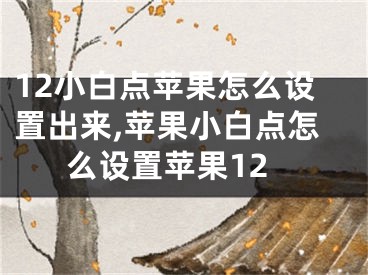 12小白點(diǎn)蘋果怎么設(shè)置出來,蘋果小白點(diǎn)怎么設(shè)置蘋果12