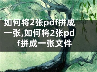 如何將2張pdf拼成一張,如何將2張pdf拼成一張文件