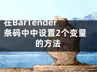 在BarTender條碼中中設(shè)置2個變量的方法