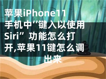 蘋果iPhone11手機中‘’鍵入以使用Siri”功能怎么打開,蘋果11鍵怎么調(diào)出來