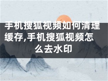 手機搜狐視頻如何清理緩存,手機搜狐視頻怎么去水印