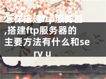 怎樣搭建ftp服務(wù)器,搭建ftp服務(wù)器的主要方法有什么和serv u