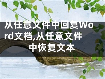 從任意文件中回復Word文檔,從任意文件中恢復文本