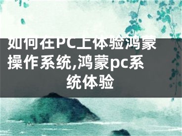 如何在PC上體驗(yàn)鴻蒙操作系統(tǒng),鴻蒙pc系統(tǒng)體驗(yàn)