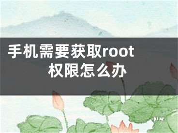 手機需要獲取root權(quán)限怎么辦