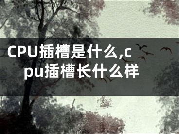 CPU插槽是什么,cpu插槽長什么樣