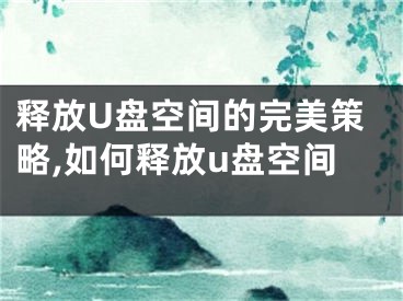 釋放U盤空間的完美策略,如何釋放u盤空間