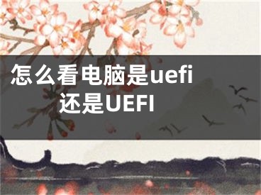 怎么看電腦是uefi還是UEFI