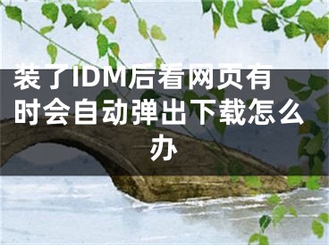 裝了IDM后看網(wǎng)頁(yè)有時(shí)會(huì)自動(dòng)彈出下載怎么辦