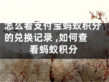 怎么看支付寶螞蟻積分的兌換記錄 ,如何查看螞蟻積分