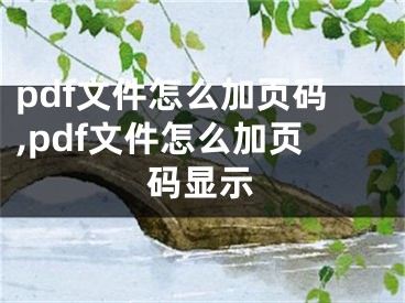 pdf文件怎么加頁(yè)碼,pdf文件怎么加頁(yè)碼顯示