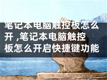 筆記本電腦觸控板怎么開 ,筆記本電腦觸控板怎么開啟快捷鍵功能