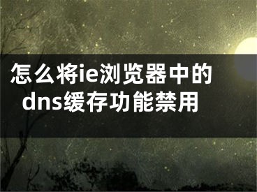 怎么將ie瀏覽器中的dns緩存功能禁用