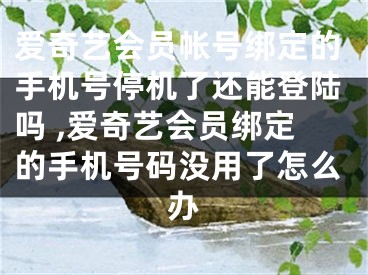 愛奇藝會員帳號綁定的手機號停機了還能登陸嗎 ,愛奇藝會員綁定的手機號碼沒用了怎么辦