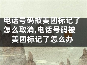 電話號碼被美團標記了怎么取消,電話號碼被美團標記了怎么辦