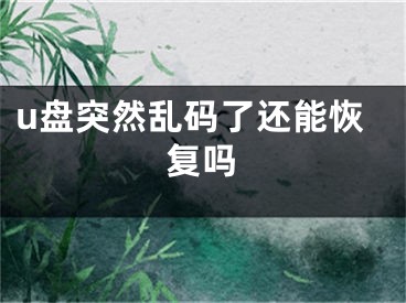 u盤突然亂碼了還能恢復(fù)嗎