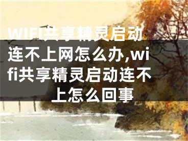 WIFI共享精靈啟動連不上網(wǎng)怎么辦,wifi共享精靈啟動連不上怎么回事