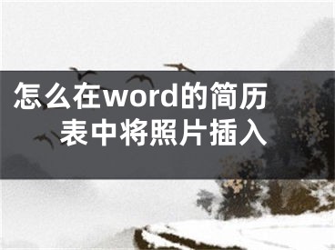 怎么在word的簡(jiǎn)歷表中將照片插入