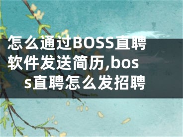 怎么通過BOSS直聘軟件發(fā)送簡歷,boss直聘怎么發(fā)招聘